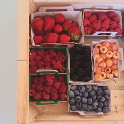 High angle view of fruits in container