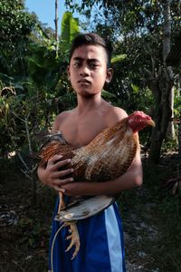 Portrait of shirtless boy holding chicken bird