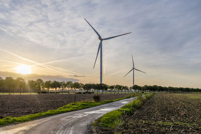 Wind turbines. trees and road leading into the horizon illuminated by the setting sun  