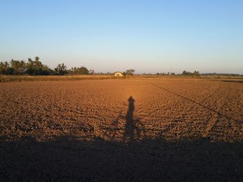 Shadow of people on field