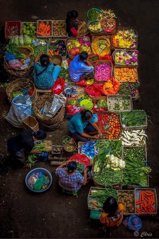 multi colored, choice, variation, large group of objects, for sale, market, collection, retail, abundance, no people, indoors, day, close-up