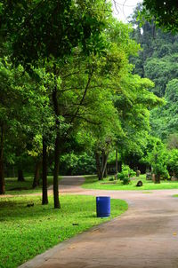 Scenic view of green trees and road against sky