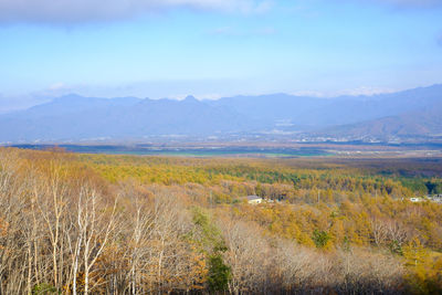 Scenic view of landscape against sky