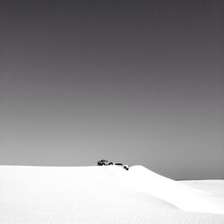 Bird on snowy landscape against clear sky