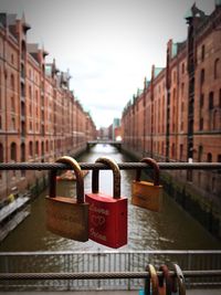 Close-up of padlocks on railing