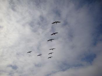 Low angle view of airplane flying against cloudy sky