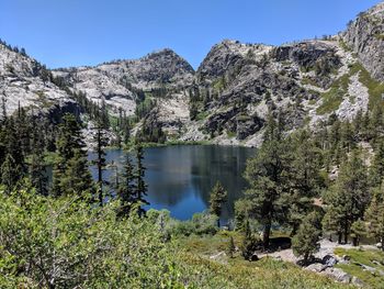 Scenic view of lake by trees against clear sky