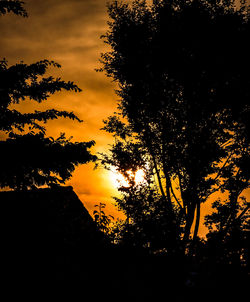 Low angle view of silhouette trees against orange sky