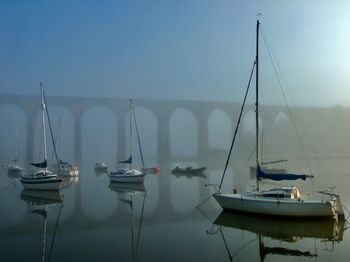 Sailboats in marina