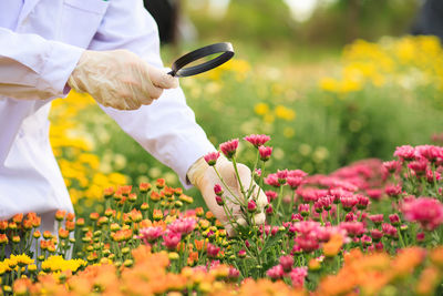 Close-up of hand holding flowering plant