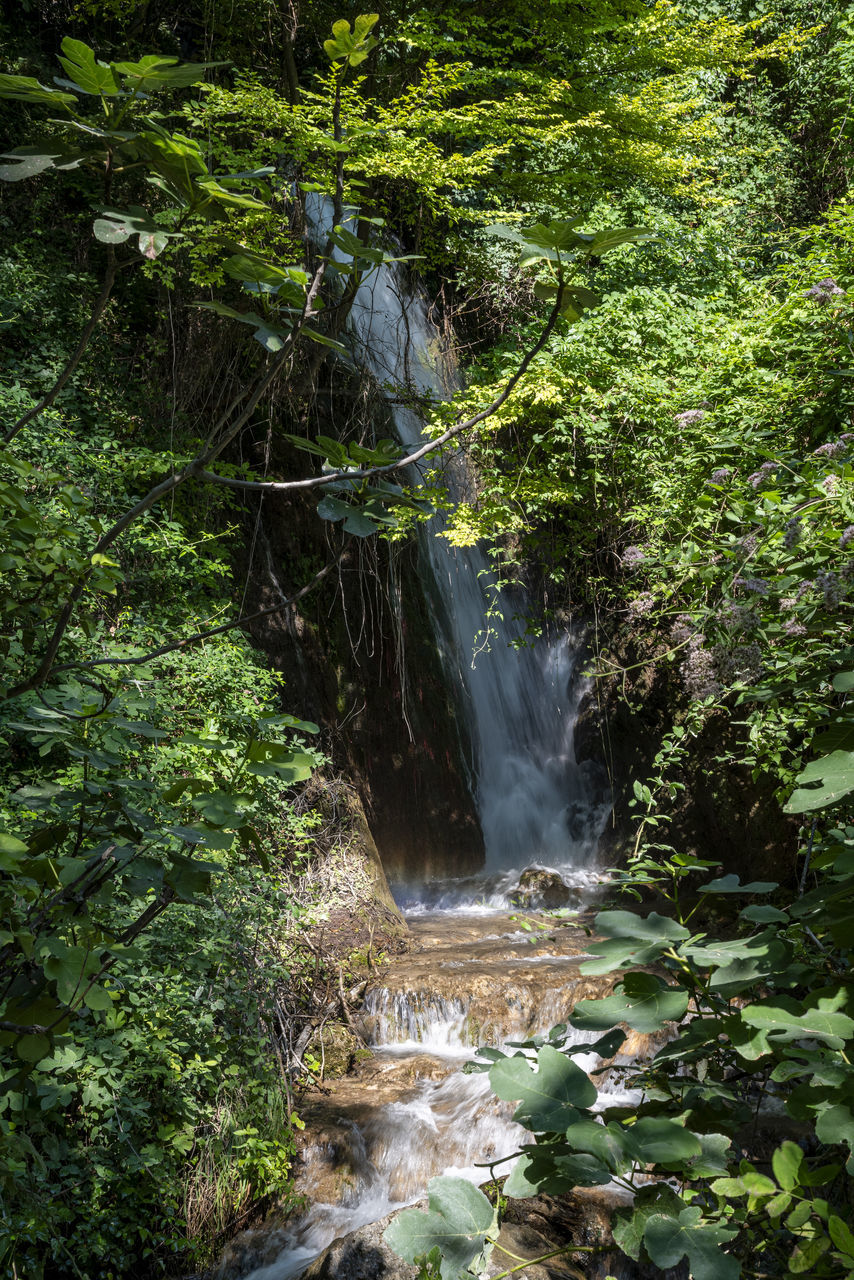 waterfall, plant, beauty in nature, water, forest, tree, body of water, rainforest, nature, scenics - nature, stream, land, watercourse, motion, environment, flowing water, woodland, water feature, natural environment, jungle, green, growth, no people, long exposure, non-urban scene, creek, leaf, rock, foliage, lush foliage, river, outdoors, flowing, day, autumn, old-growth forest, landscape, wilderness, travel destinations, vegetation, tranquility, blurred motion, idyllic, state park, plant part, travel, tranquil scene, social issues, moss, tourism