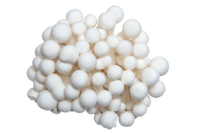 High angle view of eggs on white background