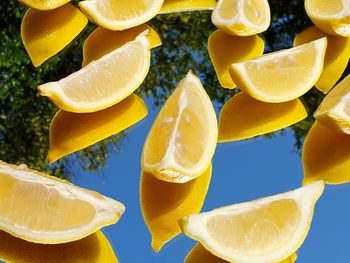 Close-up of yellow fruits