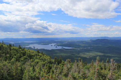 Scenic view of forest against sky