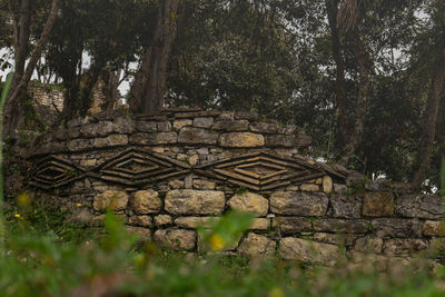 Old temple against trees in forest