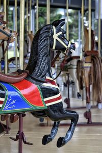 Carousel in amusement park