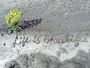 High angle view of text on sand at beach