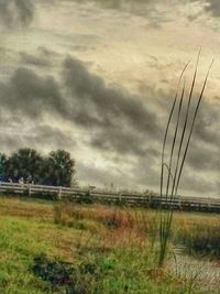 Scenic view of grassy field against cloudy sky