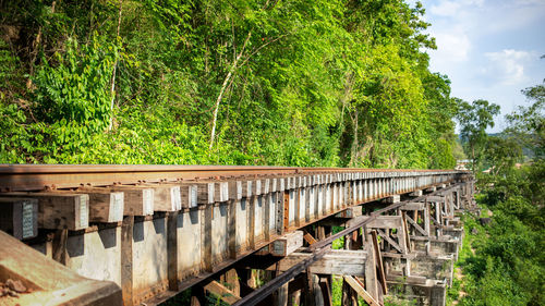 Bridge in forest