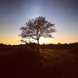 Scenic view of landscape at sunset