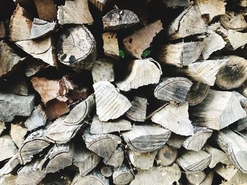 Full frame shot of logs in forest