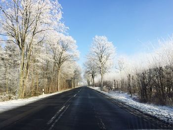 Road amidst trees against sky during winter