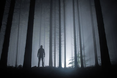 Silhouette man standing in forest at night
