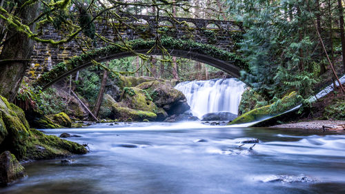 Scenic view of waterfall in forest