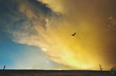 Low angle view of silhouette bird flying over sea against sky