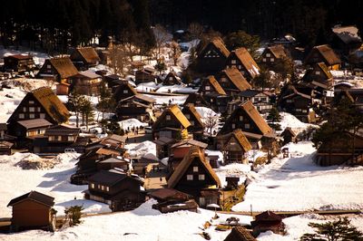 Aerial view of trees during winter