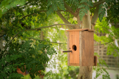 Close-up of birdhouse on tree