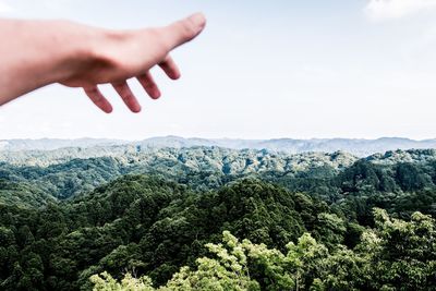 Close-up of person hand against mountain in forest