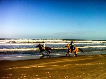 People enjoying at beach