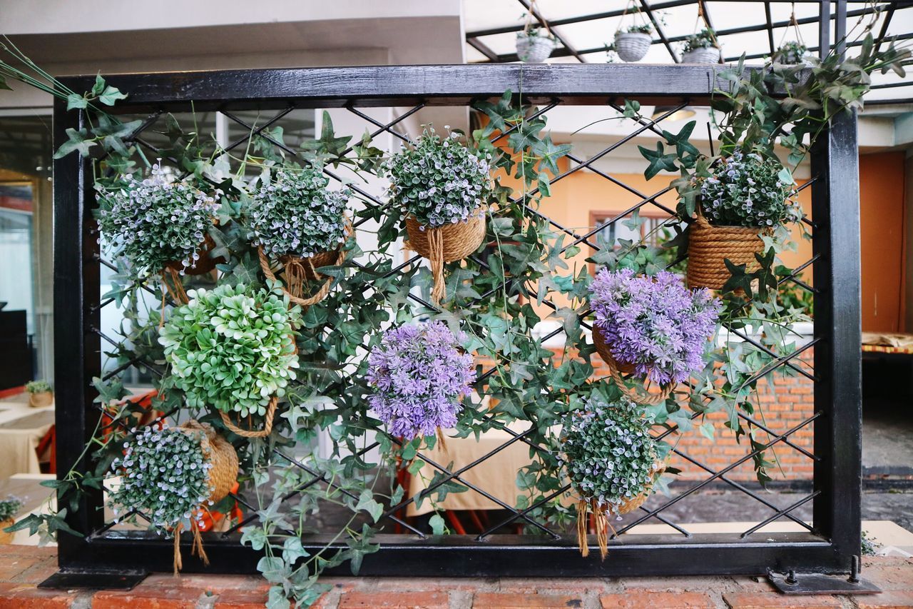 POTTED PLANTS ON SHELF