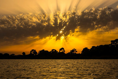 Silhouette trees by sea against orange sky