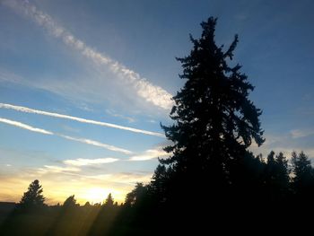 Silhouette of trees against sky at sunset