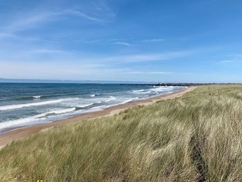 Scenic view of beach against sky