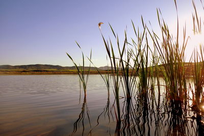 Scenic view of lake against clear sky at sunset