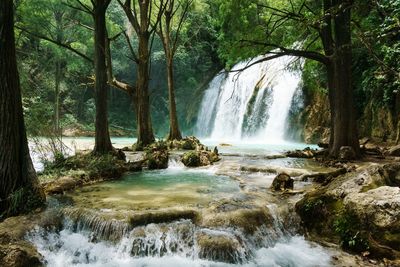 Scenic view of waterfall in forest