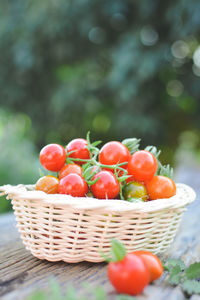 Close-up of tomatoes in basket