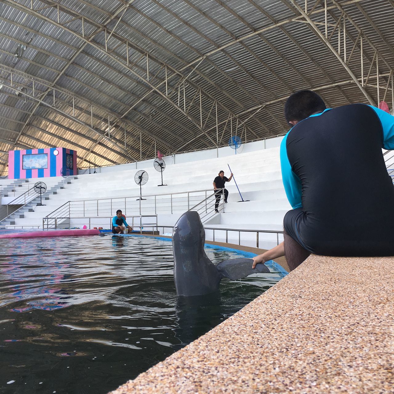 GROUP OF PEOPLE IN SWIMMING POOL AGAINST THE WALL