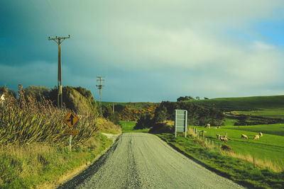 Road amidst field against sky