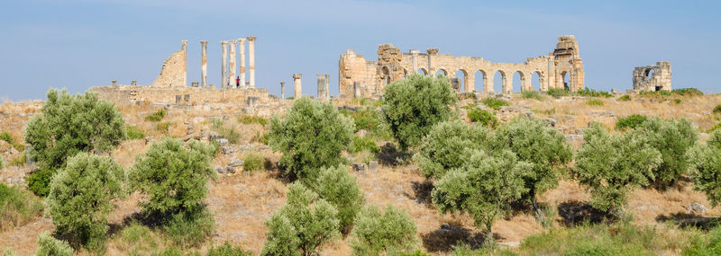 Roman ruins of volubilis in morocco, north africa