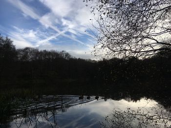 Reflection of trees in lake against sky