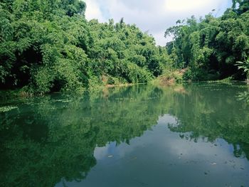 Scenic view of lake by trees against sky