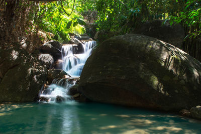 Scenic view of waterfall in forest