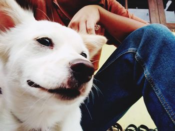 Midsection of person with dog