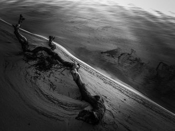 High angle view of driftwood in sand