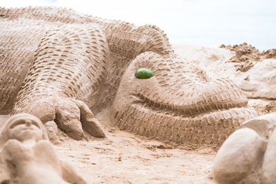 Close-up of animal sculpture on beach