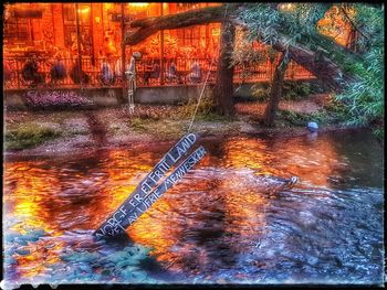 Reflection of trees in water